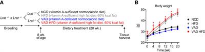 Vitamin A regulates tissue-specific organ remodeling in diet-induced obesity independent of mitochondrial function